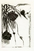 Barn Swallows in Hanging Garlic
