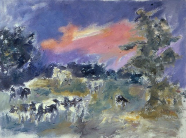 Cows at Dusk