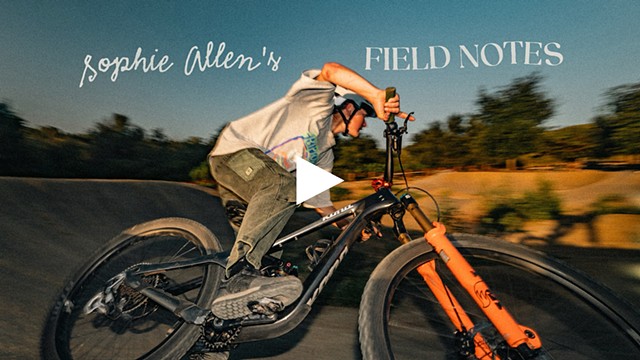 Sophie Allen's Field Notes