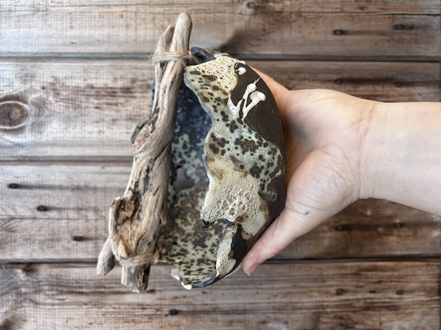 Small mossy bowl with driftwood 