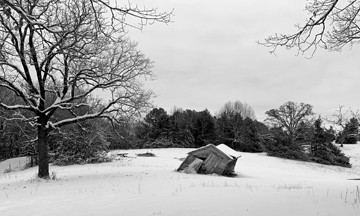 January Snow