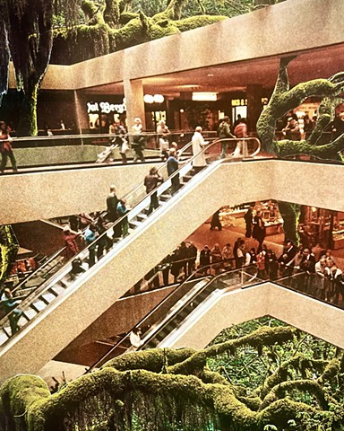 Escalator of Life