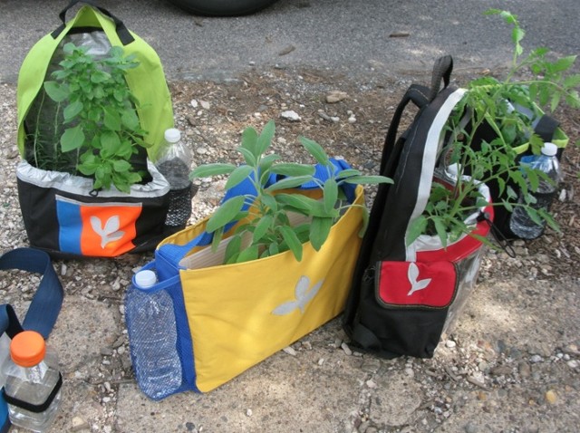 Plant Backpacks 