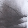 Meridian 2