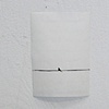 The Flutter - detail
