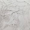 Topographic
