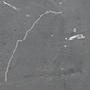 (untitled string) study
