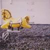 Yellow Horse