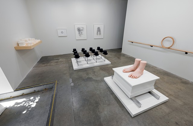 Subterfuge: Installation View