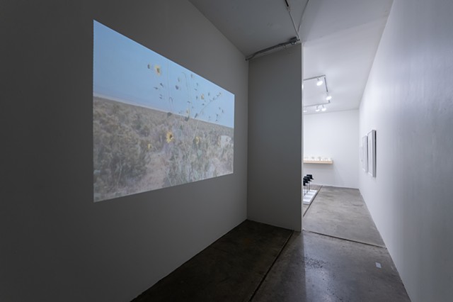 "Subterfuge" (Installation View)