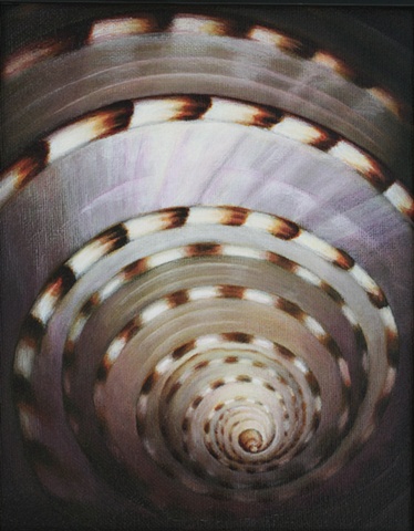 shell spiral