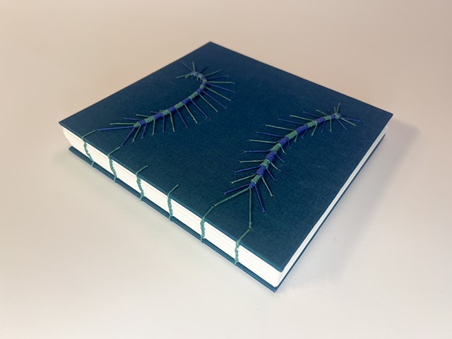 Caterpillar/Coptic Binding