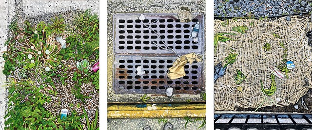 Sidewalks Triptych, Long Island City Dandelions, Newtown Creek Drain, and Rego Park Burlap