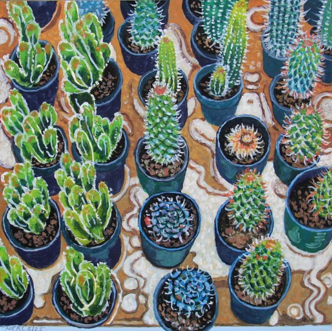 Cacti - Allerton Park Greenhouse