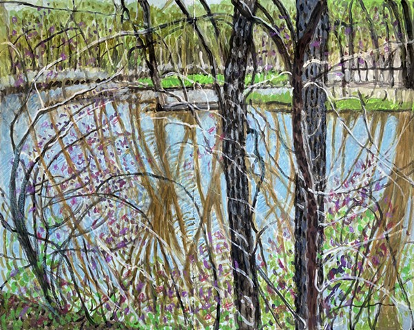 Sangamon River - Allerton Park