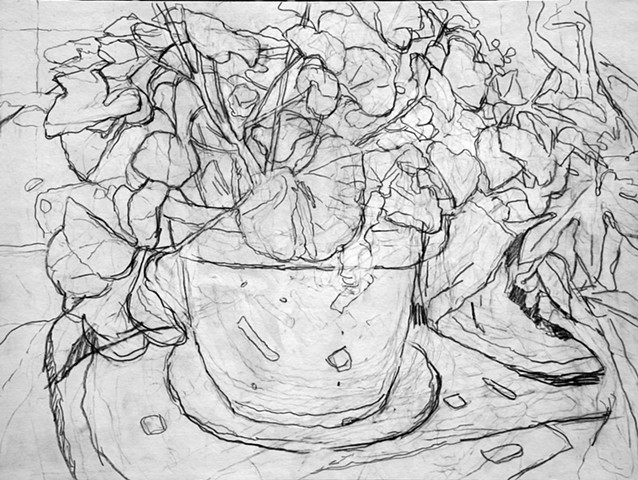 Geraniums (drawing)
