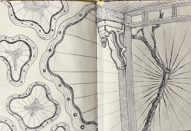Process Study