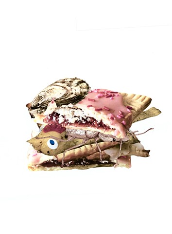 Pop-Tart Sandwich
