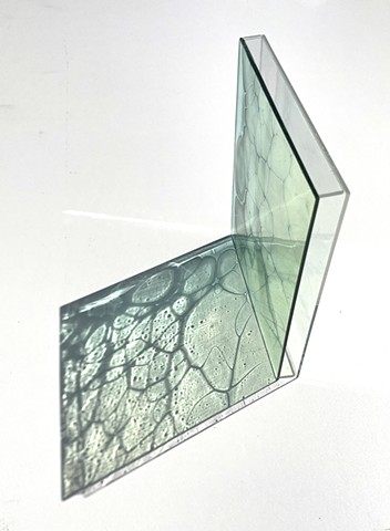 We Speak of the Sun's Light