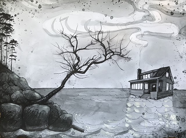 Black and White House on Water