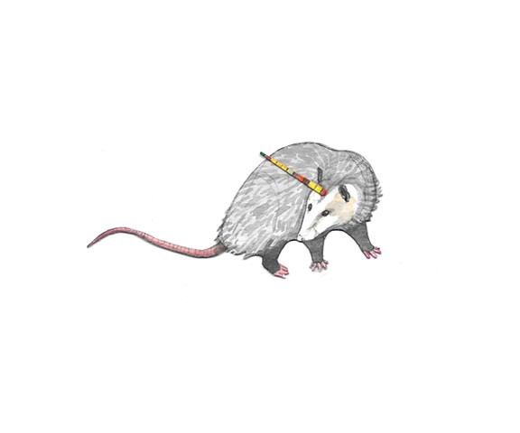 Uni-Possum Sticker Design