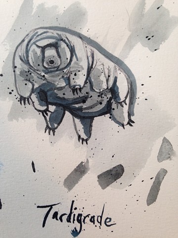 Tardigrade