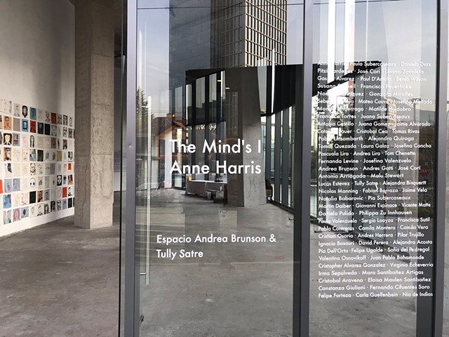 Installation View, Espacio Andrea Brunson.