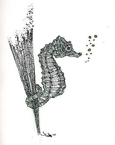 Seahorse pentaptych: ‘Young Hippocampus Hippocampus’.
