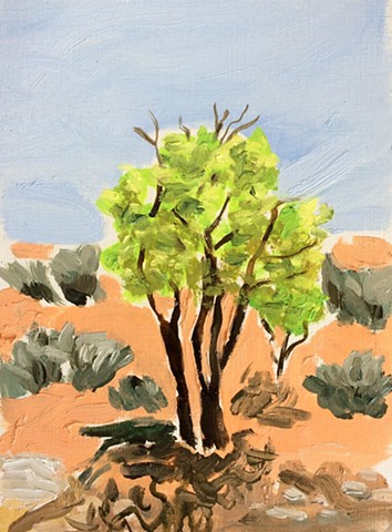 Water Soluble Souvenir [Untitled Tree]