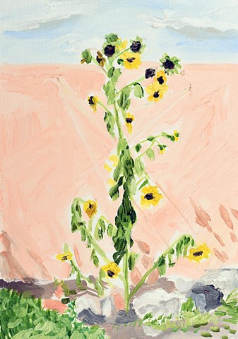 Water Soluble Souvenir [Husband's Sunflowers]