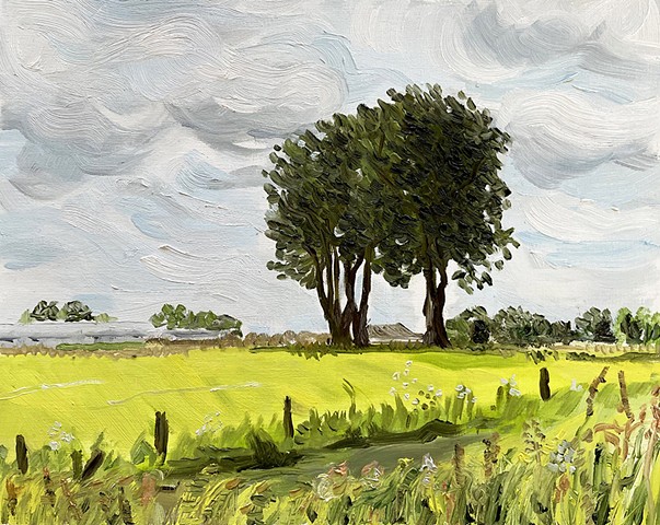 Water Soluble Souvenir: Trees in a Field 