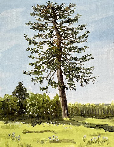 Water Soluble Souvenir: Tall Tree 