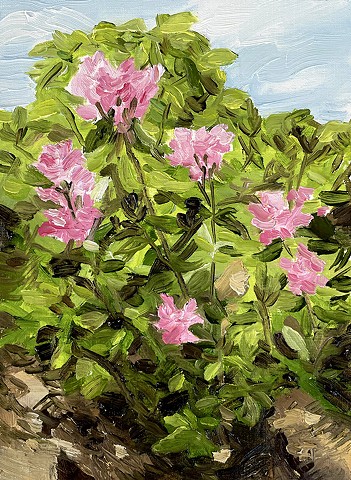 Water Soluble Souvenir: Rhododendron