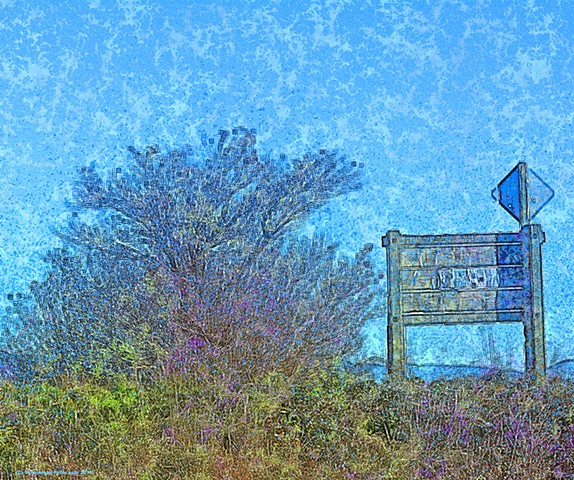 Behind the Sign