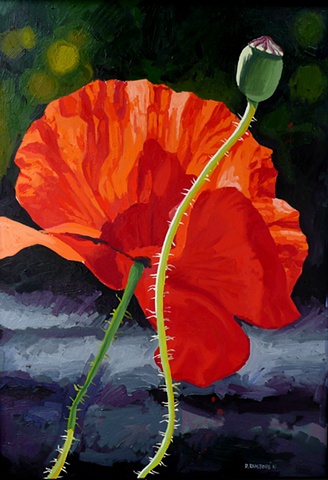 Poppies 3