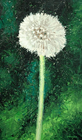 Dandelion