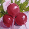 Radishes 30x30" oil on canvas