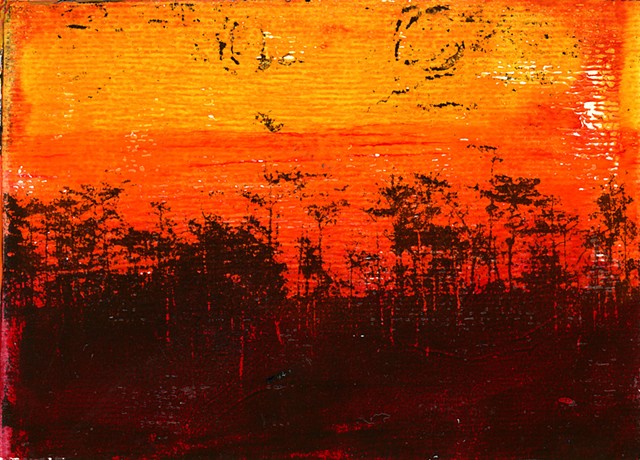Cypress Sunset