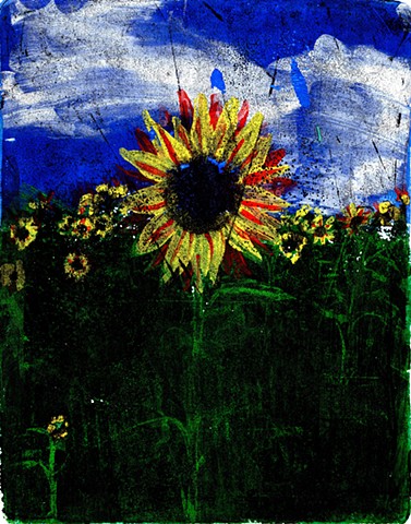 Sunflower Field