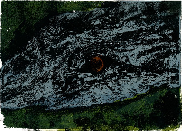 Gator Eye