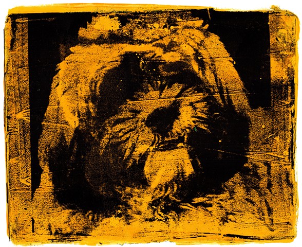 Teddy Joe Yellow 2