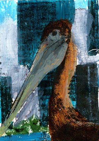 Brown Pelican