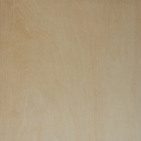 Blank Canvas