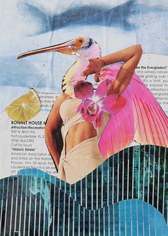 Roseate Spoonbills Are Way More Fashionable