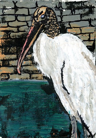Wood Stork