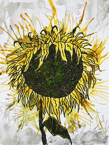 Wilting Sunflower