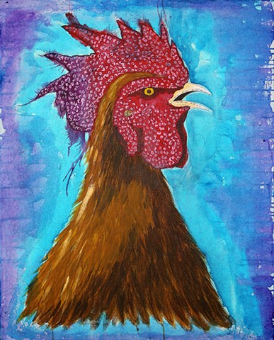 Rooster, Gallo, Galo, Gallus