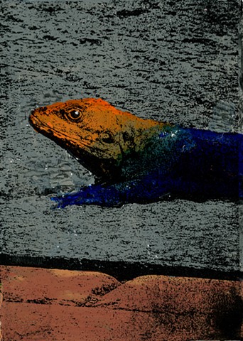 Agama