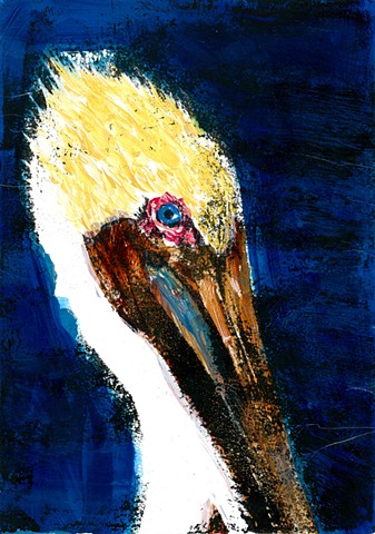 Fly Pelican Fly