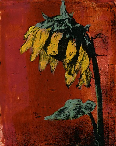 August Sunflower